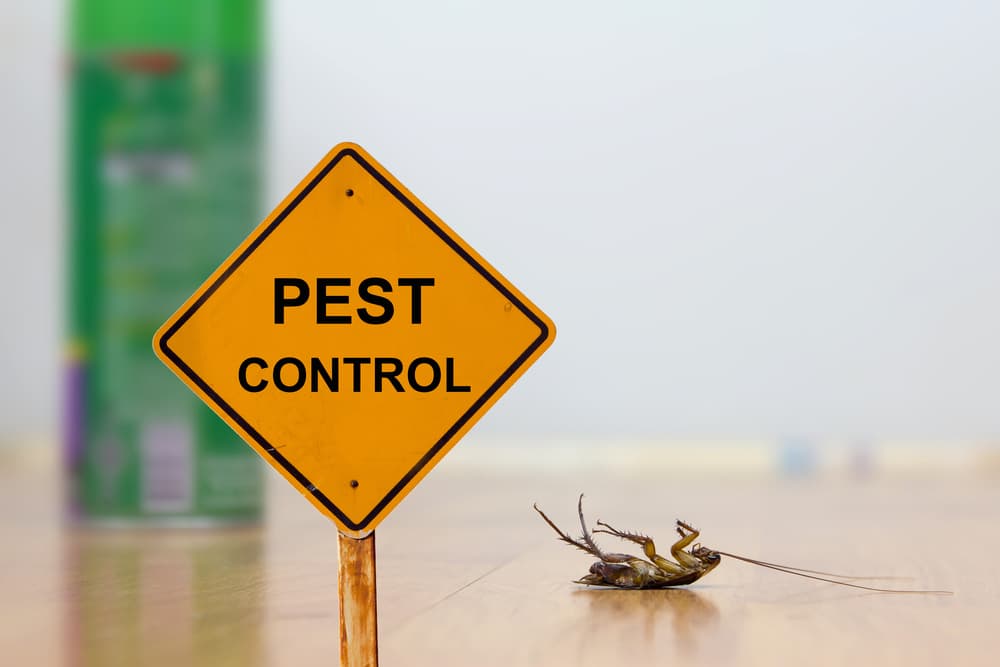 pest control banner