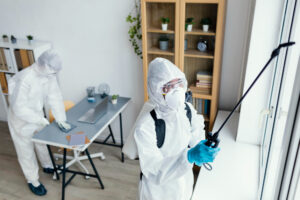Pest Control Preston