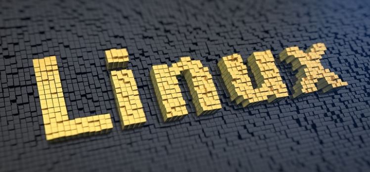 Linux dedicated server