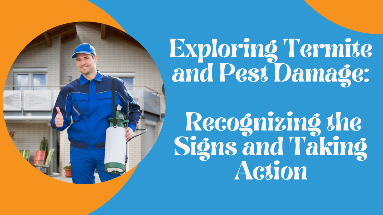 Exploring Termite and Pest Damage: Recognizing the Signs and Taking Action