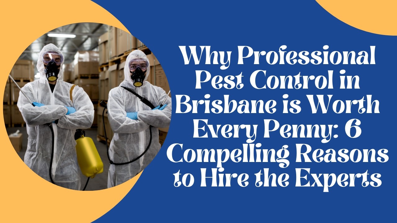 Why Professional Pest Control in Brisbane is Worth Every Penny: 6 Compelling Reasons to Hire the Experts