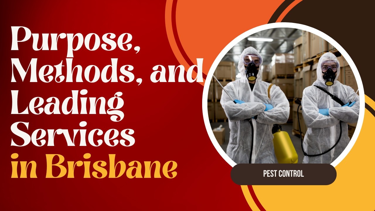 Pest Control in Brisbane