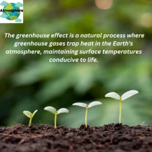 Greenhouse Effects: A Warming Reality