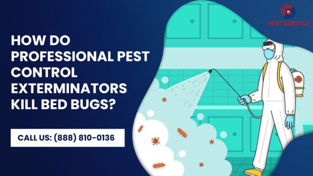 How do Professional Pest Control Exterminators Kill Bed Bugs? - ezine ...