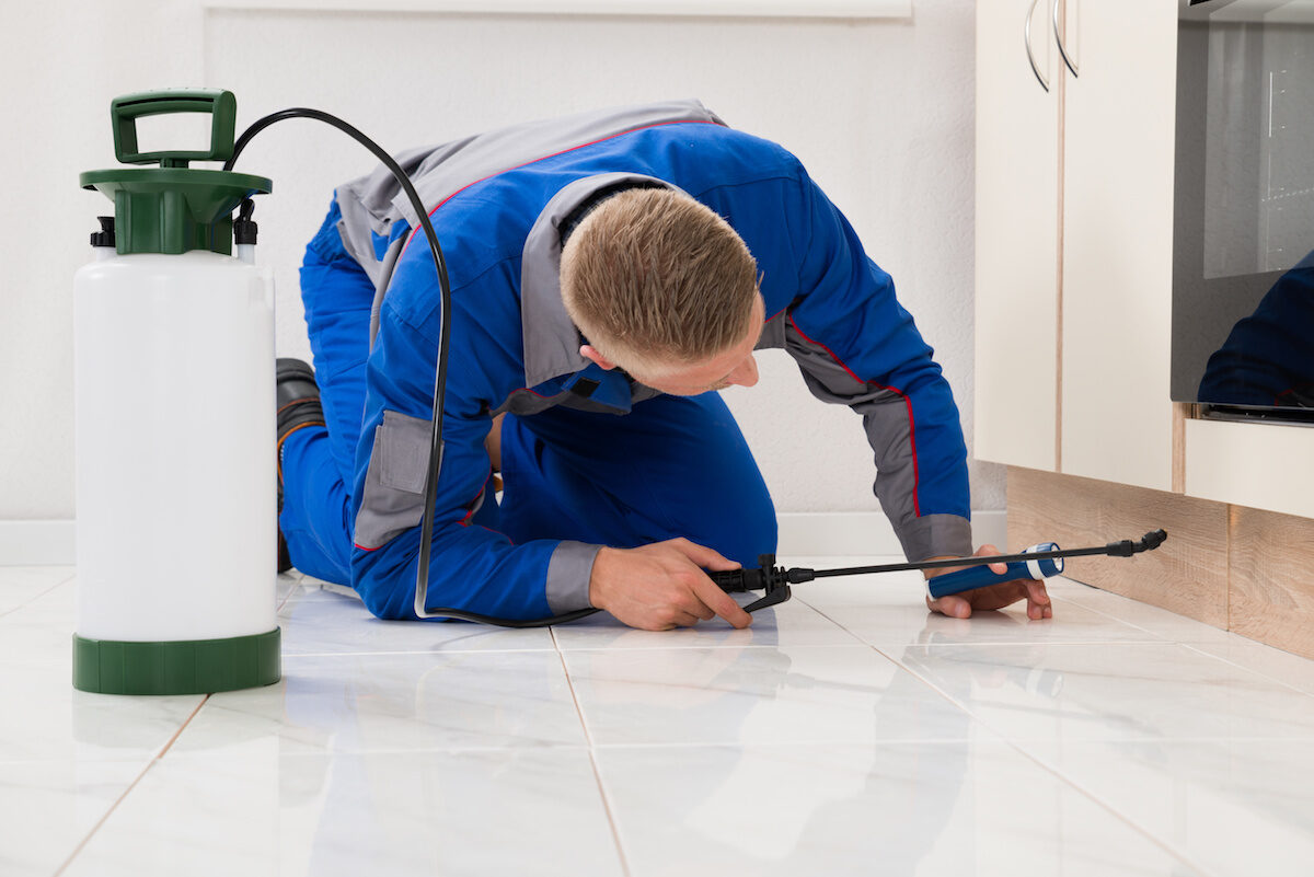 Pest Control Services in Houston