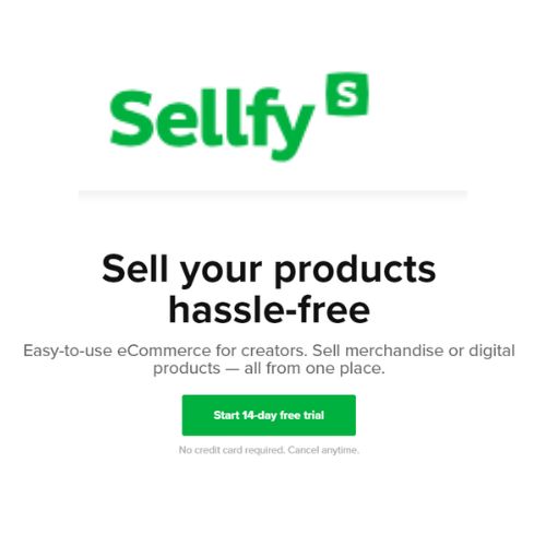 online earning with sellfy.com