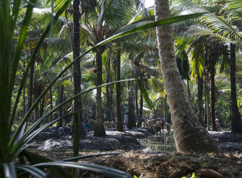 emakulum in kerala