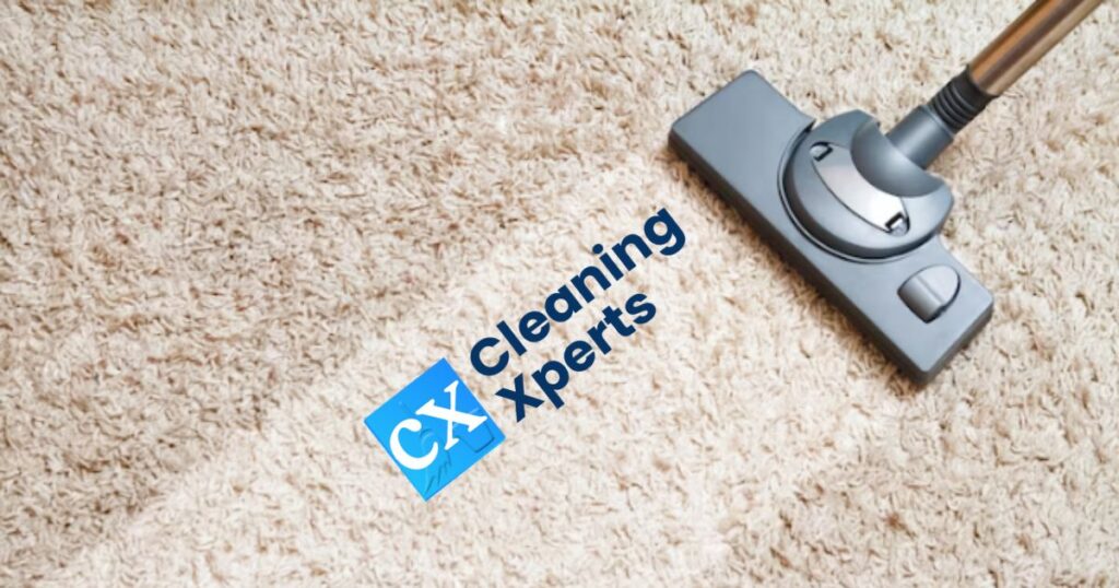 https://cleaningxperts.in/carpet-cleaning-services-in-noida/