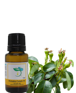 Clove Bud (Indonesia) Essential Oil