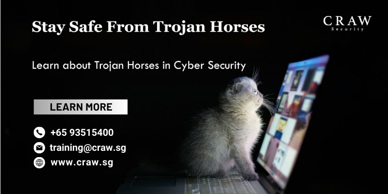 pic of the Learn What is Trojan Horse in Cyber Security