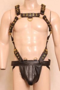 leather harness