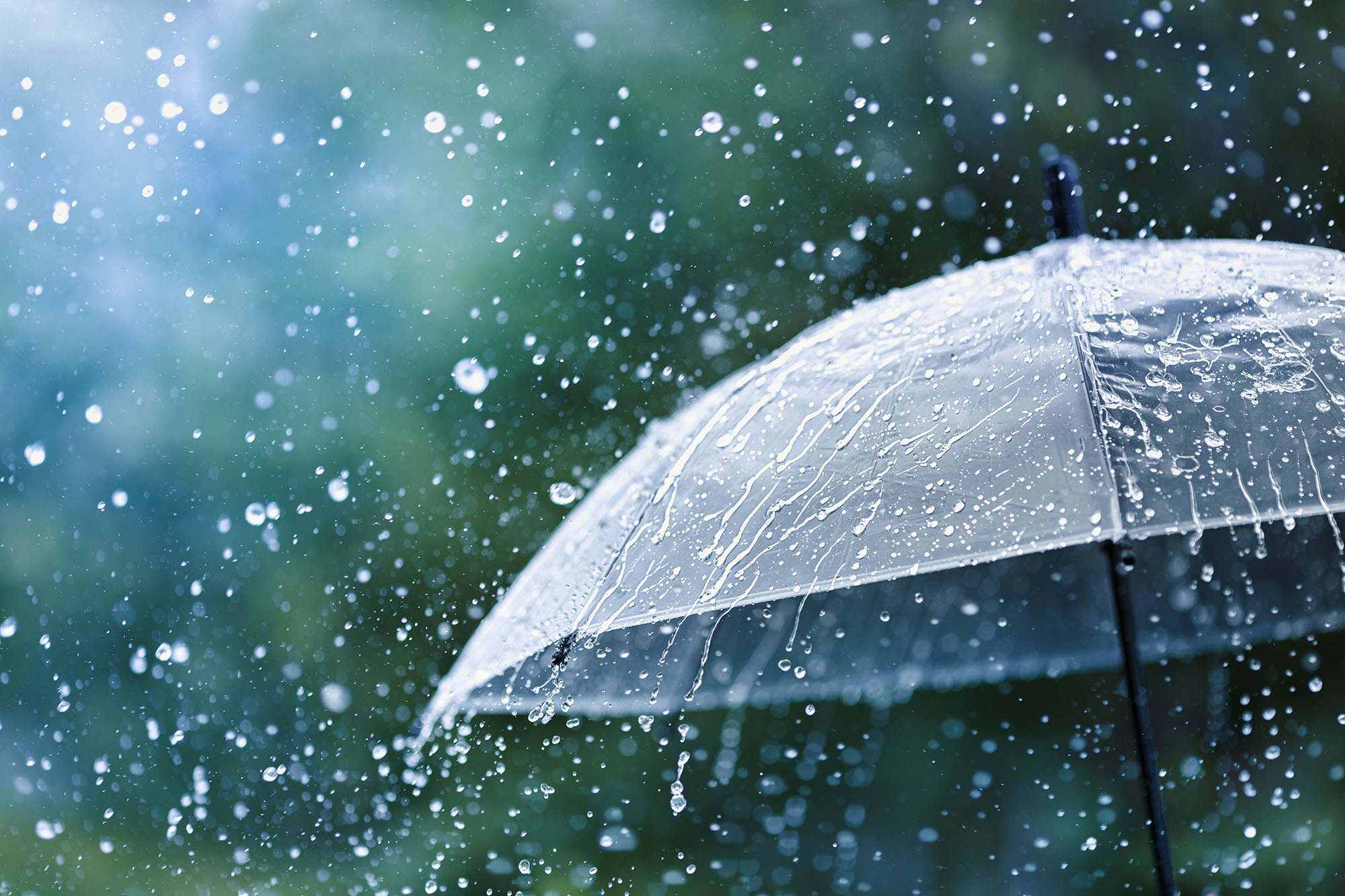 Best Places to Visit in India During the Monsoon