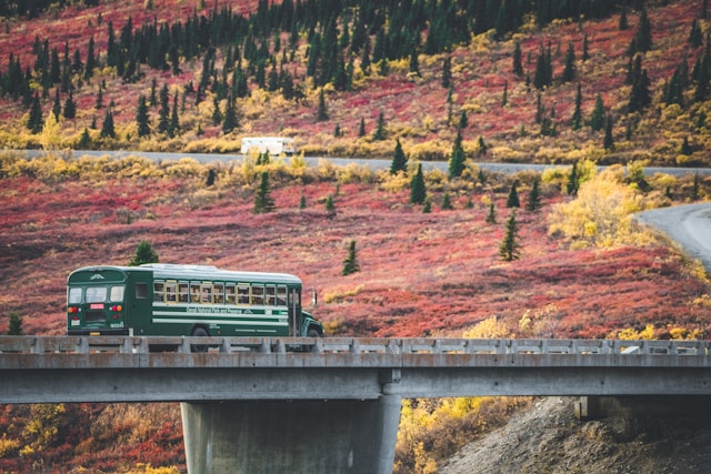 Road Trip USA: Exploring the American Dream Through Bangladeshi Eyes