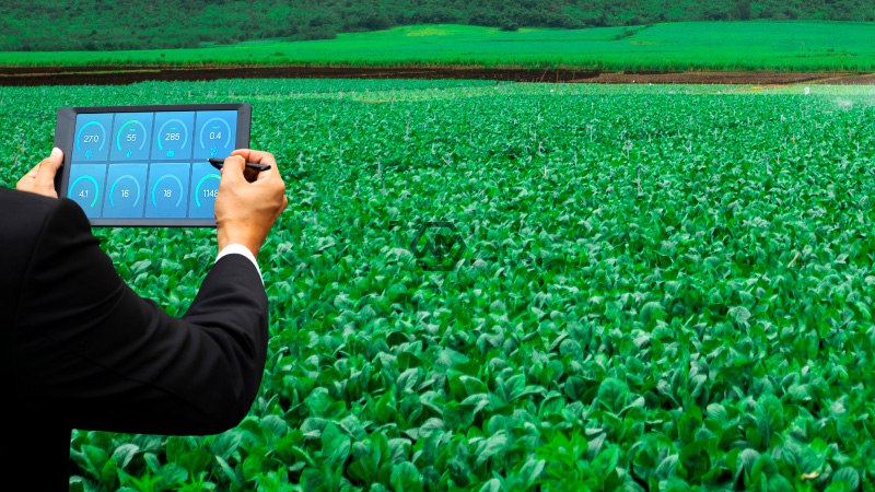 Cambodia seeks to invest in technology and agriculture