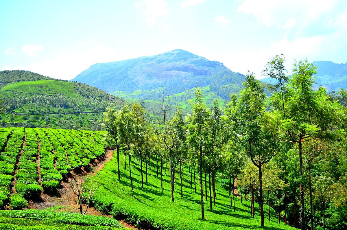 munnar