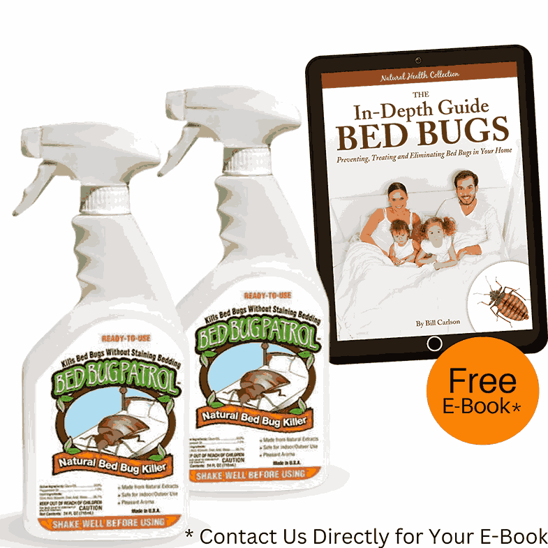 hot steamer for bed bugs