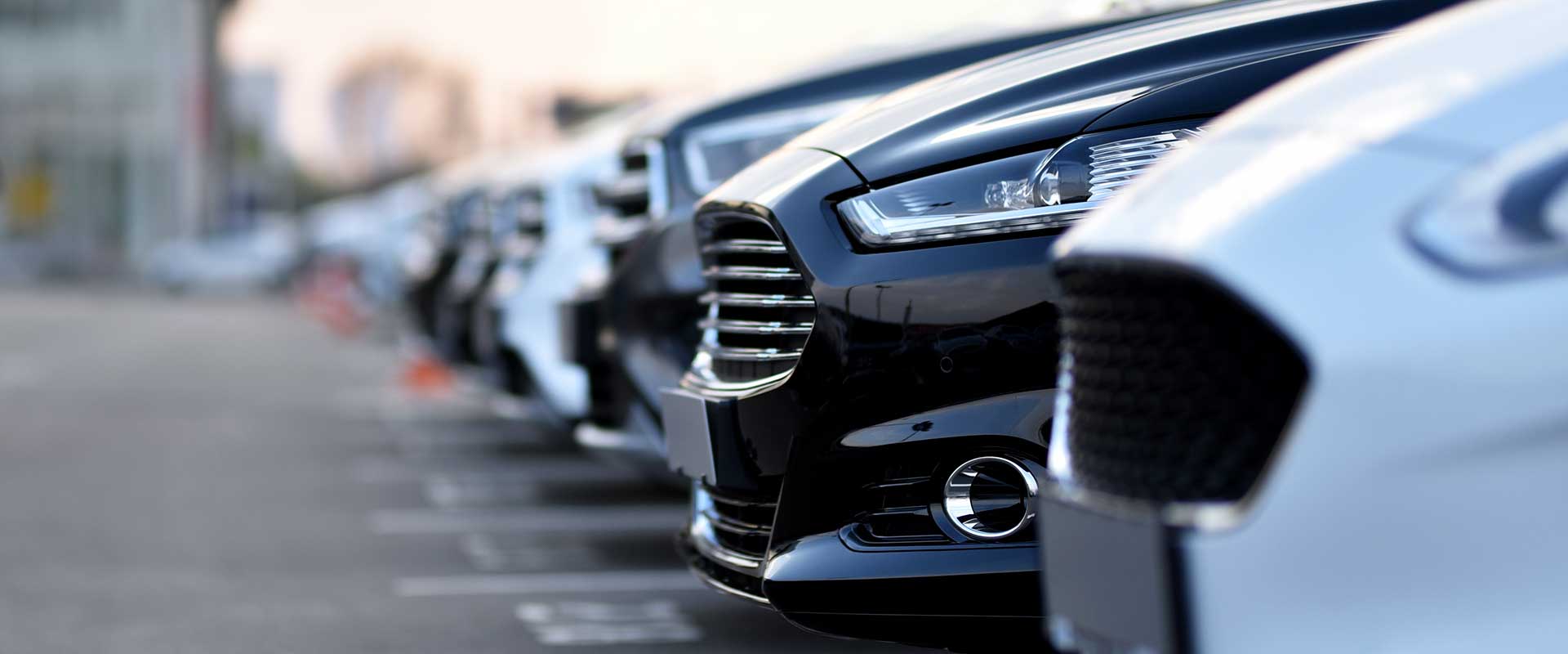 Discover the Best Rated Car Rental Companies: Unbiased Reviews & Ratings