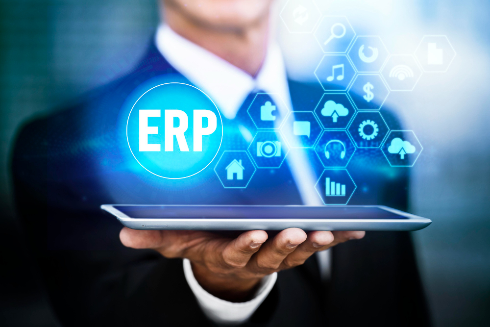ERP Software development company