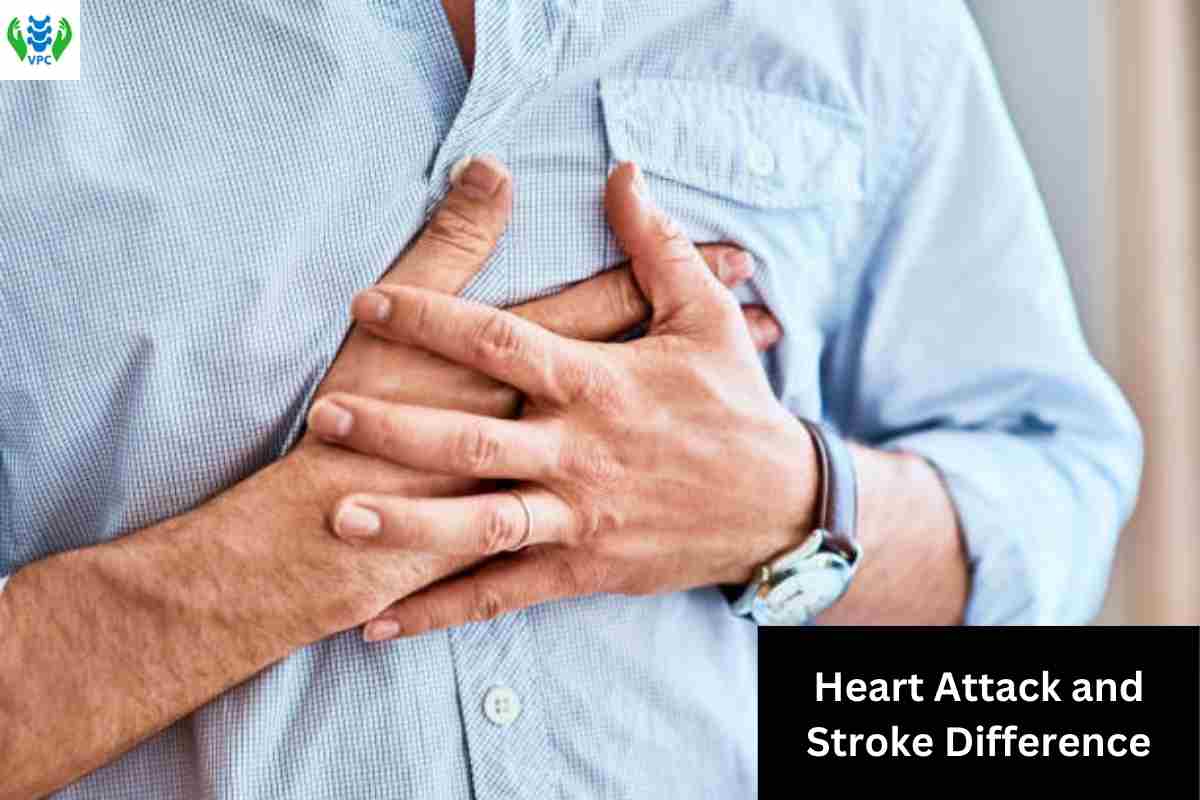 Difference between heart and stroke