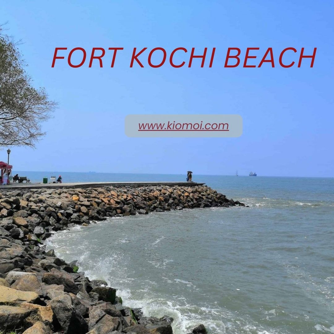 Kochi Tour Packages