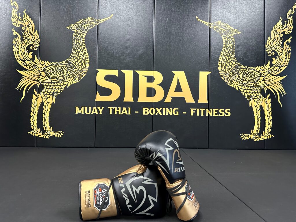 Muay Thai Boxing Gym