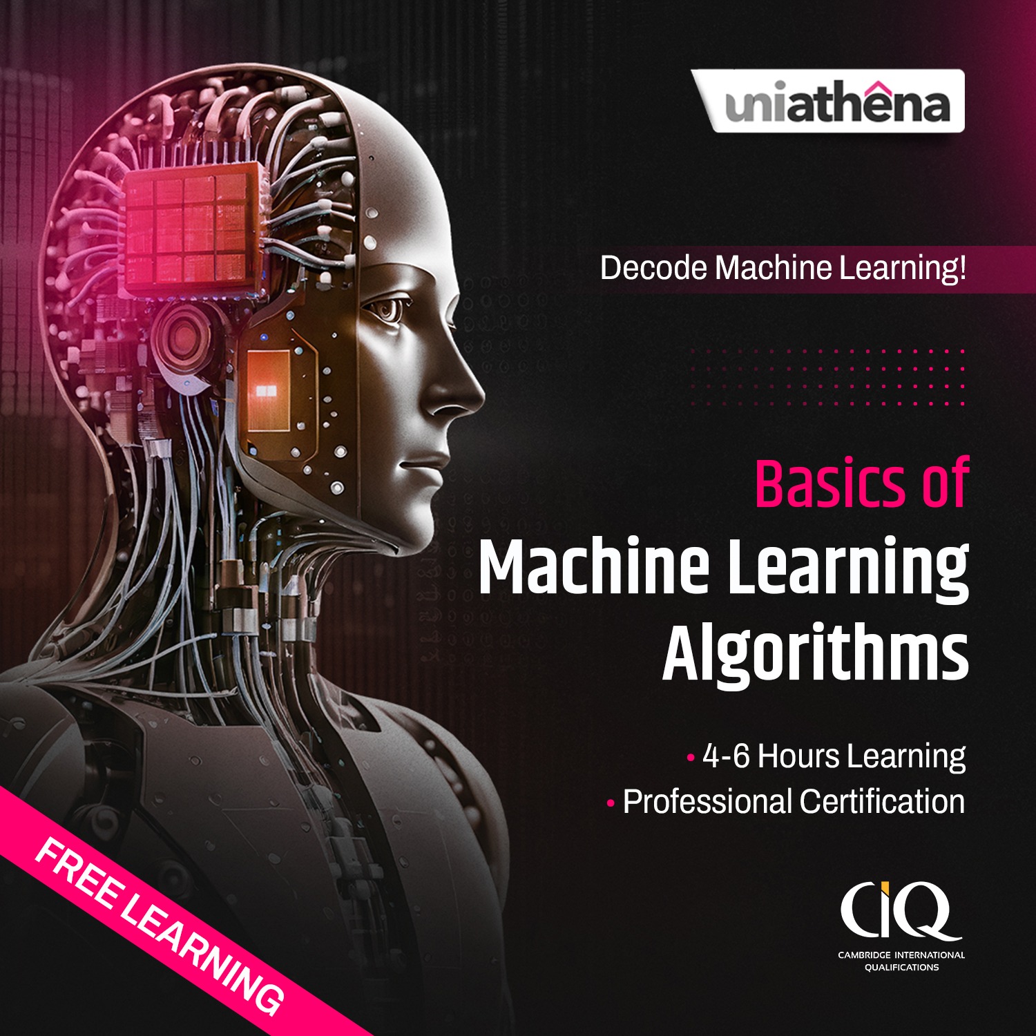 Navigate the World of Machine Learning With the Best ML Course Online!