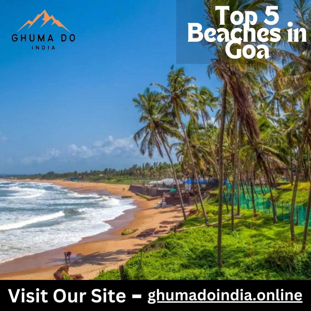 Top 5 Beaches in Goa