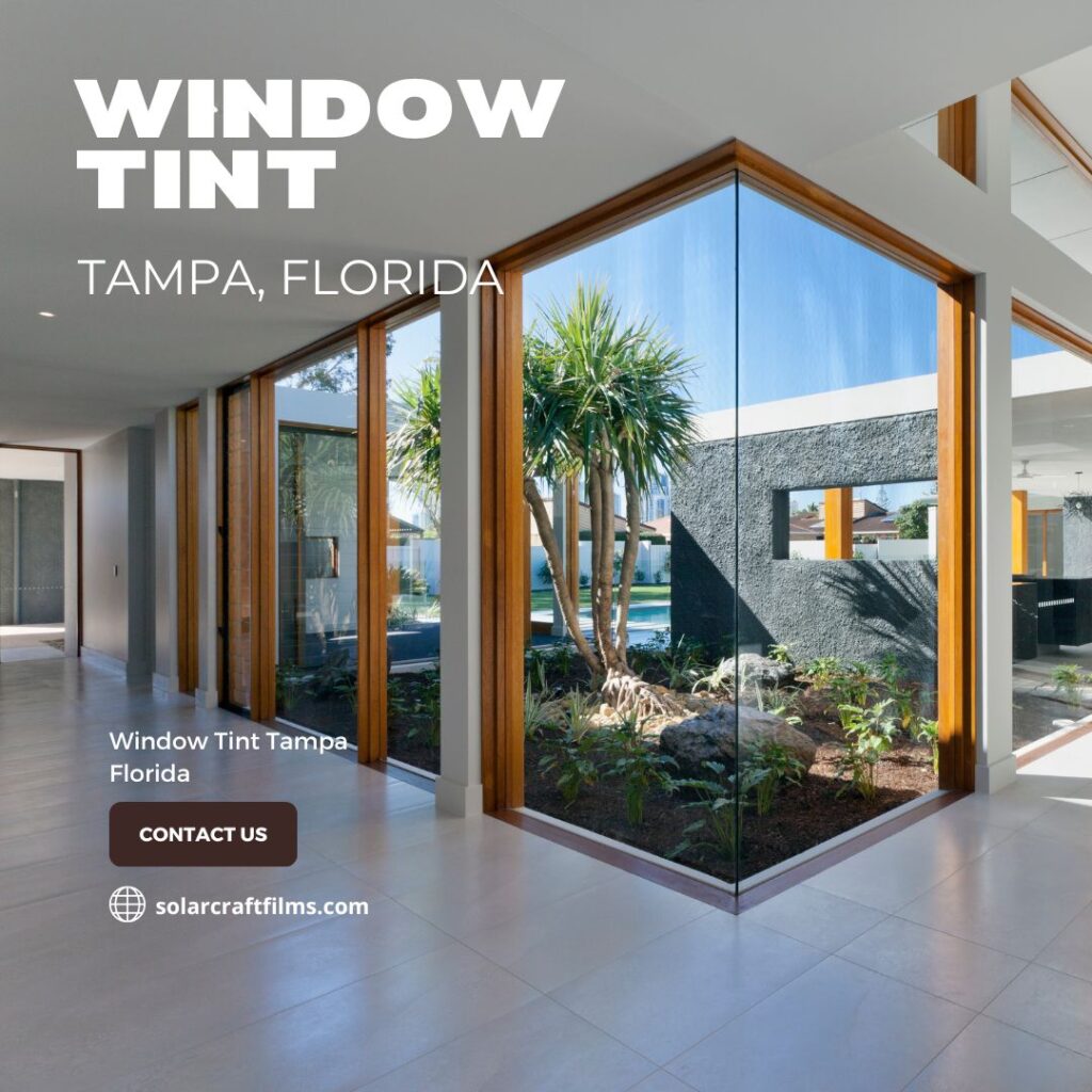 Window Tint Tampa