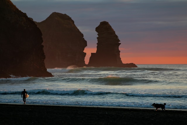 Coastal Drives and Majestic Mountains: A North American Nature Tour