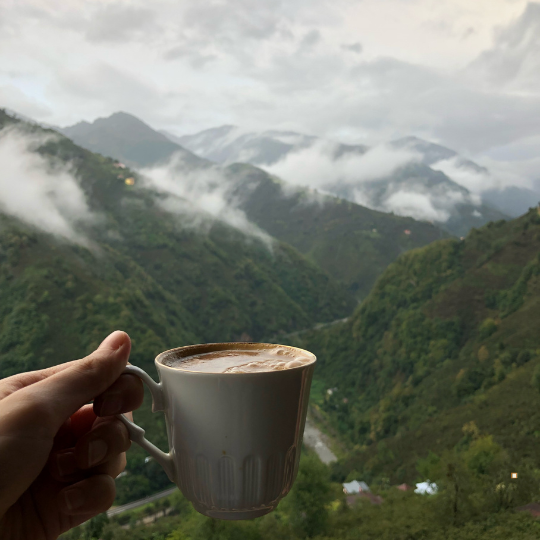 Blue Mountain Jamaican Coffee Cup