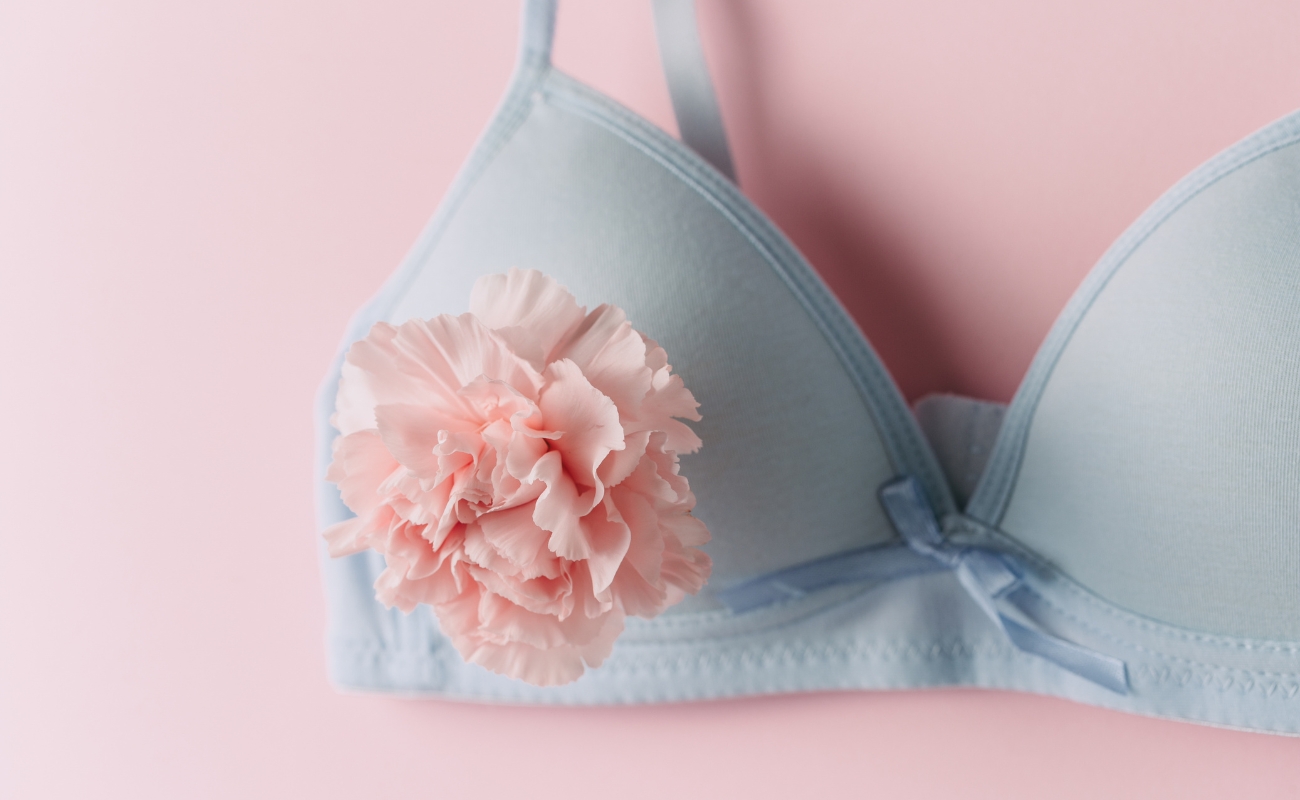 bridal bra
