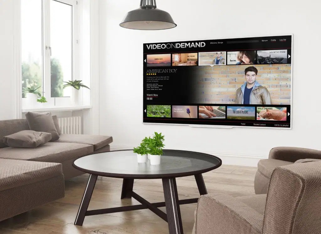 TV mounting service