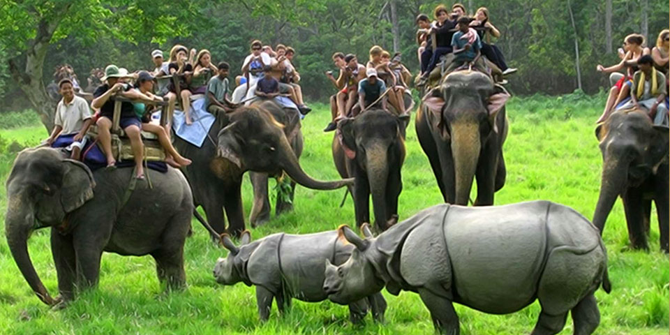 kaziranga tour