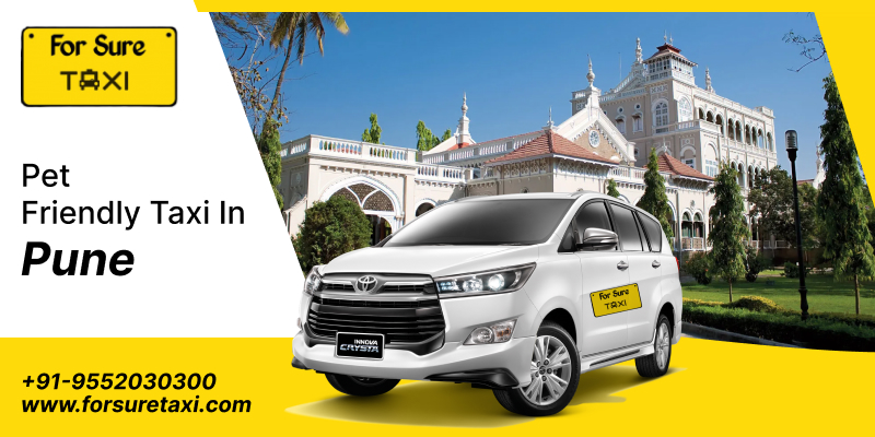 Pet Friendly Taxi in Pune: Safe Pet Transportation with ForSure Taxi