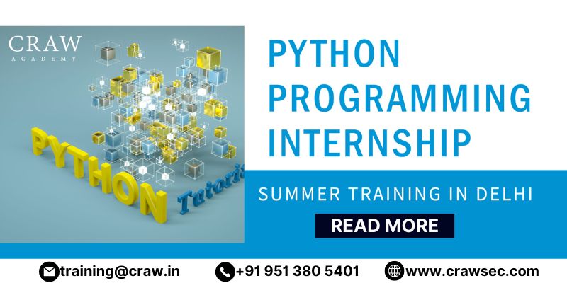 python programming summer internship training