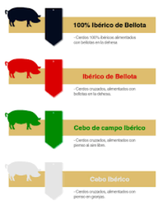 Qualitäten iberico pata negra schinken