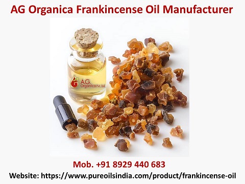 AG Organica Frankincense Oil Manufacturer And Wholesale Supplier