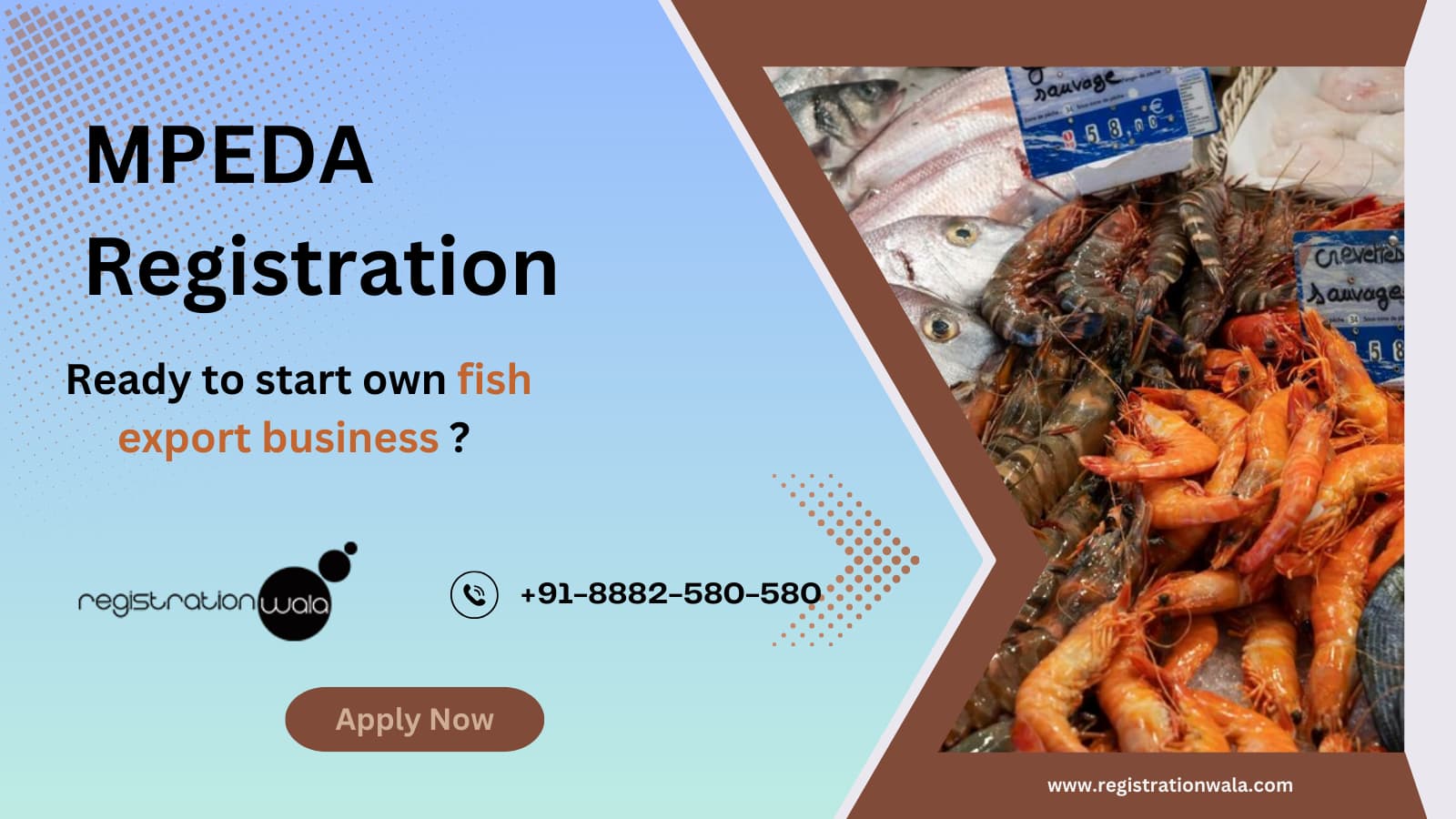 this image tells you can apply for the mpeda registration at Registrationwala.com