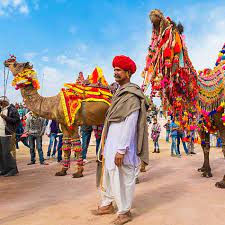 6 Nights And 7 Days Rajasthan Packages