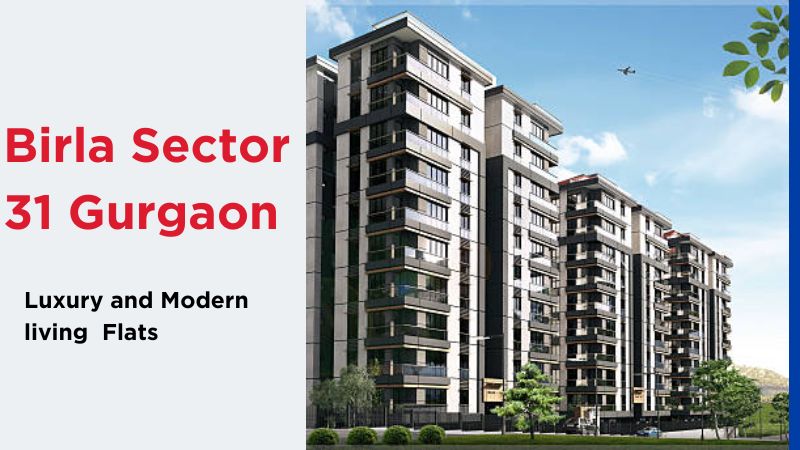 Birla Sector 31 Gurgaon