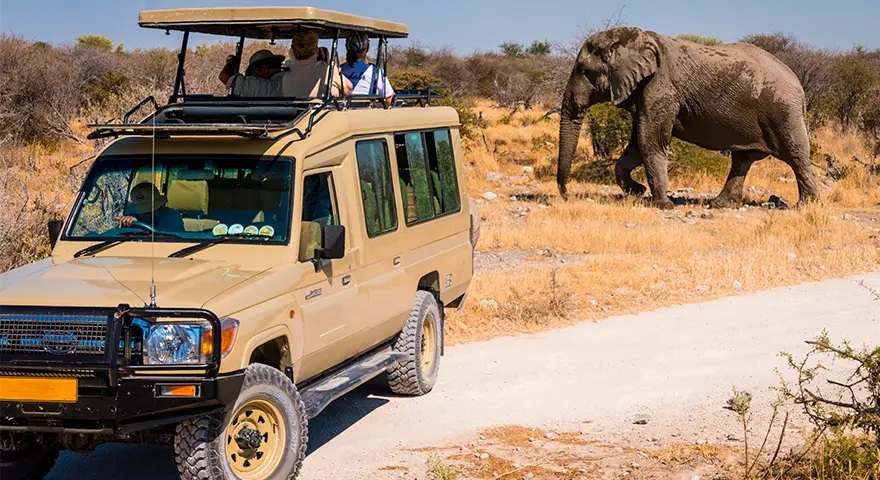 Namibia Safari