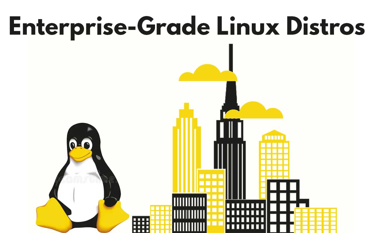 Enterprise-Grade Linux Distros