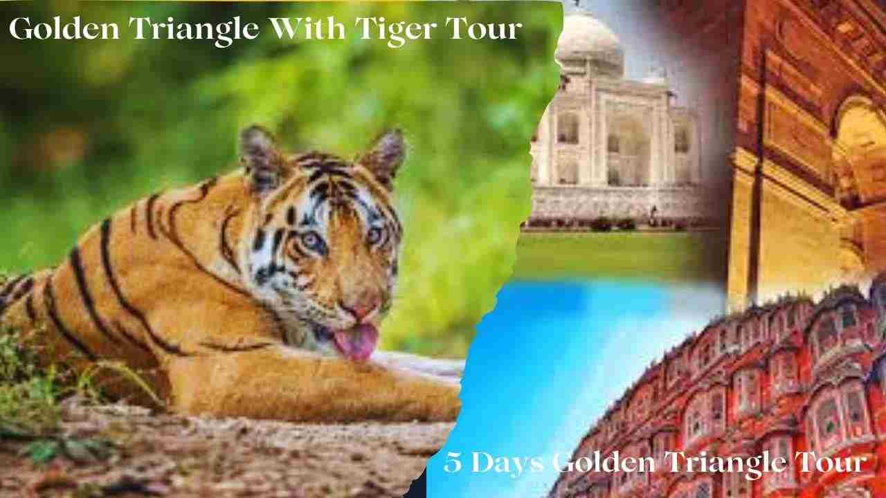 From Palaces to Wildlife: A Journey Through India's Golden Triangle