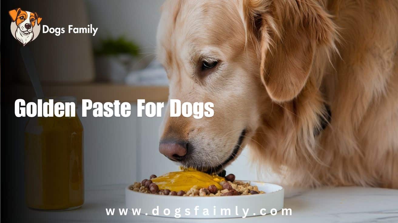 Golden Paste For Dogs