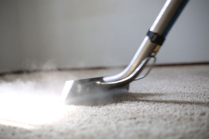 carpet cleaning