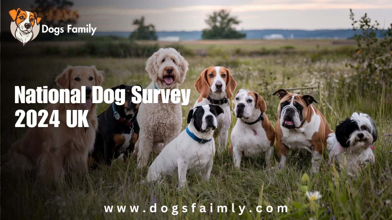 National Dog Survey 2024 UK