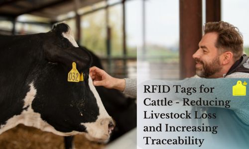 RFID Ear Tags For Cattle