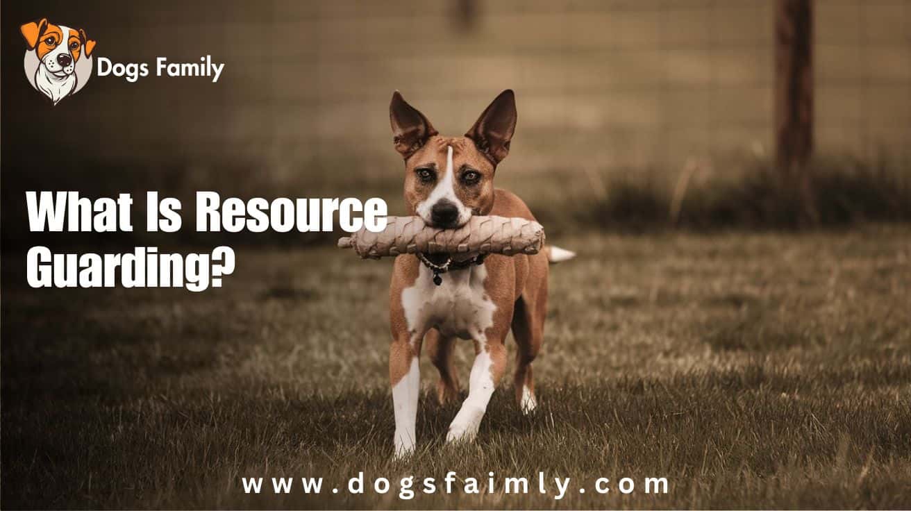What Is Resource Guarding