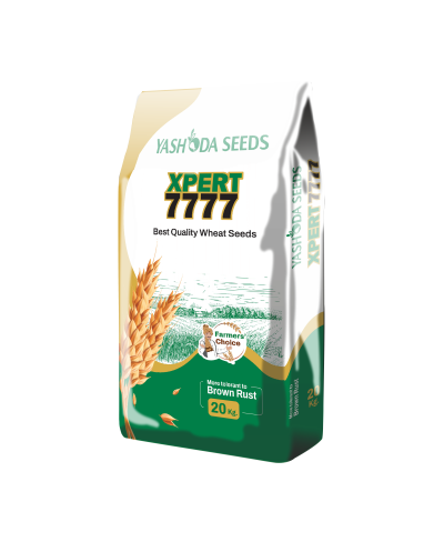 Xpert 7777-Best Research Wheat Seeds