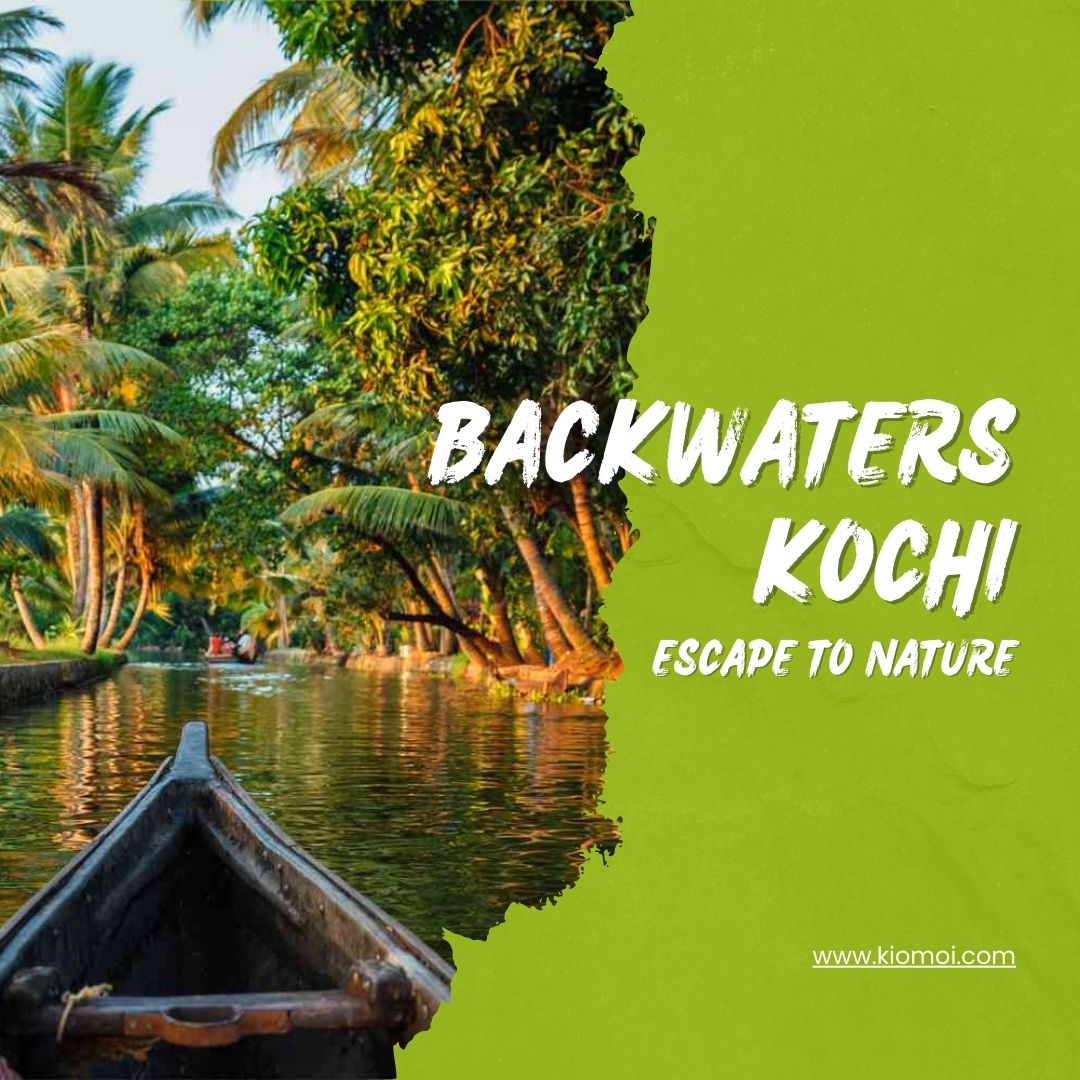 kochi backwaters